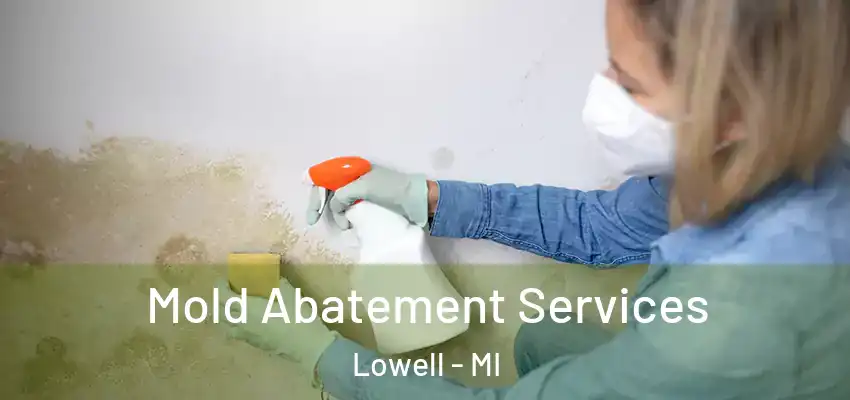  Mold Abatement Services Lowell - MI