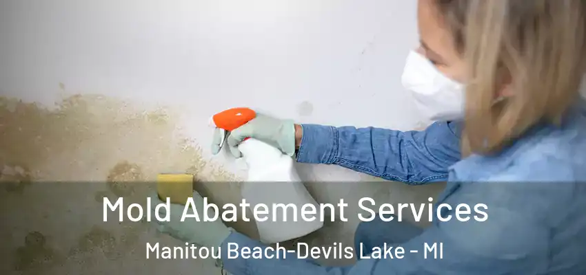  Mold Abatement Services Manitou Beach-Devils Lake - MI