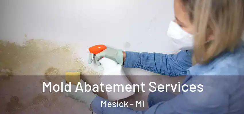 Mold Abatement Services Mesick - MI