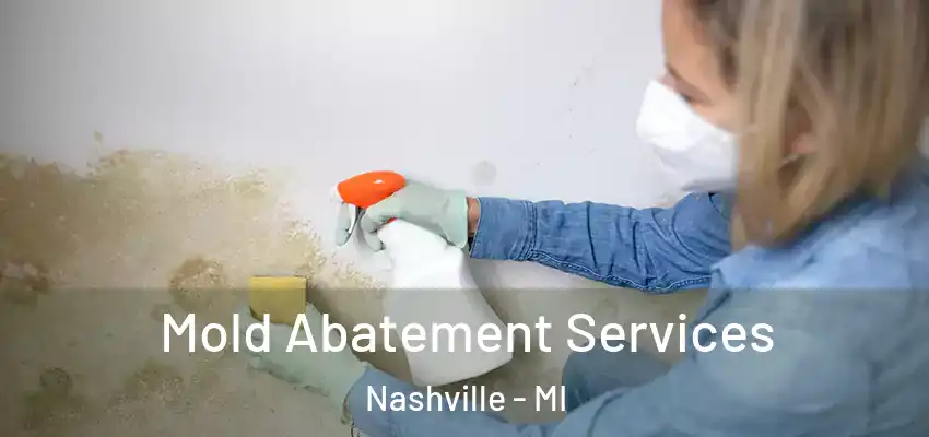 Mold Abatement Services Nashville - MI
