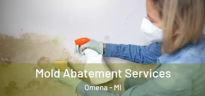 Mold Abatement Services Omena - MI