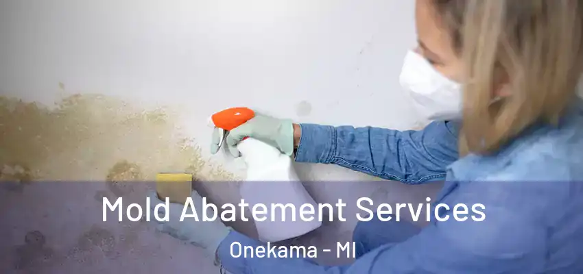 Mold Abatement Services Onekama - MI