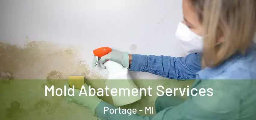  Mold Abatement Services Portage - MI