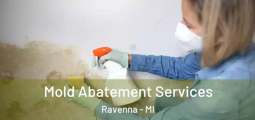  Mold Abatement Services Ravenna - MI