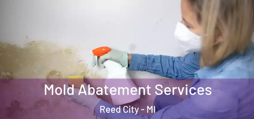  Mold Abatement Services Reed City - MI