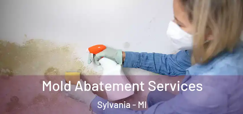  Mold Abatement Services Sylvania - MI
