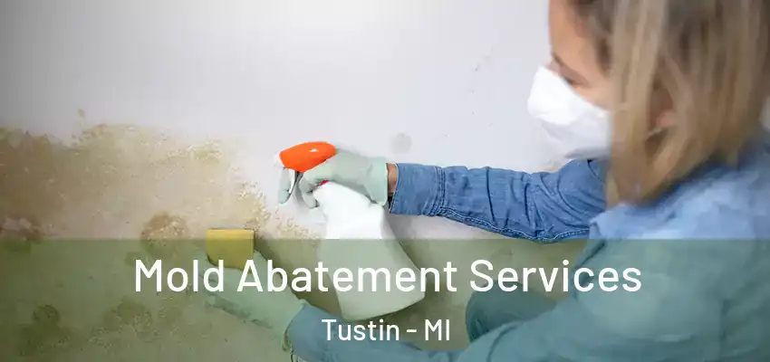 Mold Abatement Services Tustin - MI