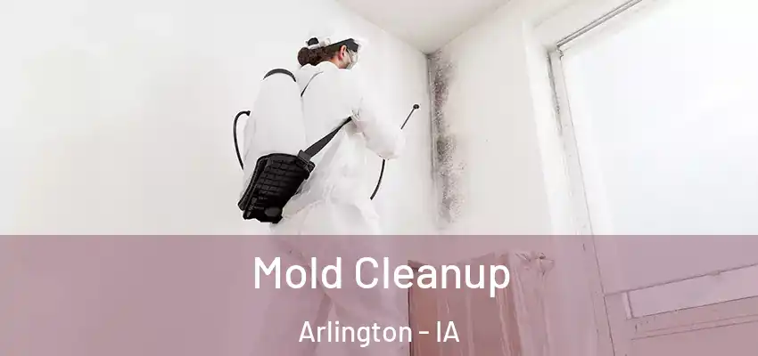  Mold Cleanup Arlington - IA
