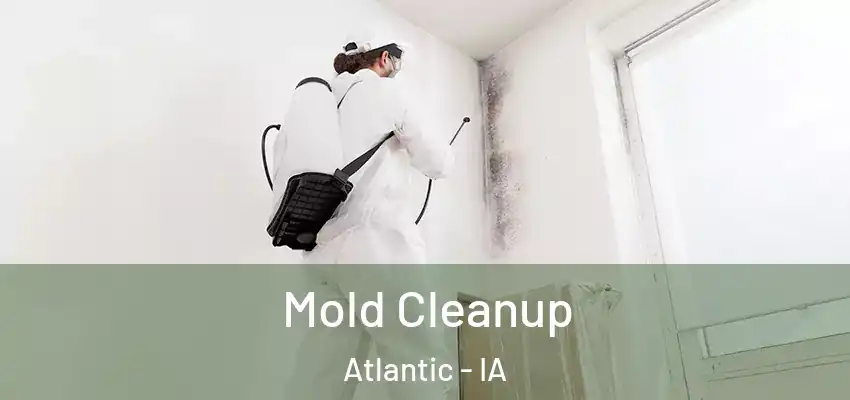  Mold Cleanup Atlantic - IA