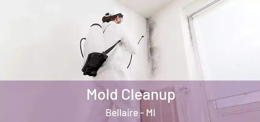  Mold Cleanup Bellaire - MI