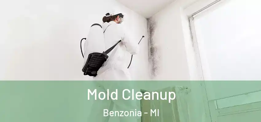  Mold Cleanup Benzonia - MI