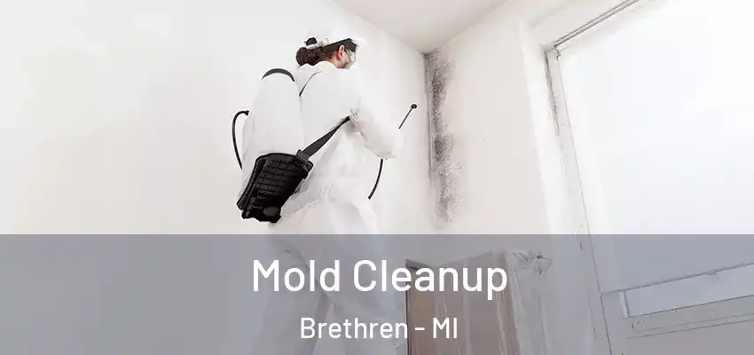  Mold Cleanup Brethren - MI