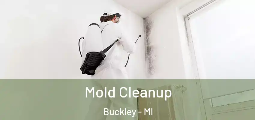  Mold Cleanup Buckley - MI
