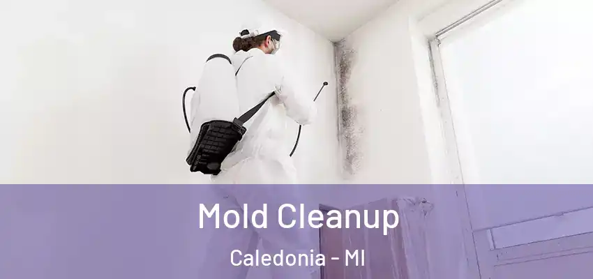  Mold Cleanup Caledonia - MI