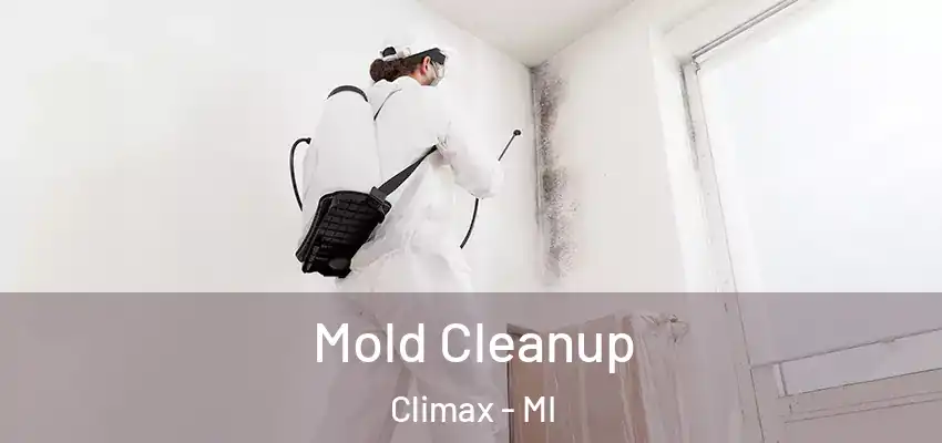  Mold Cleanup Climax - MI