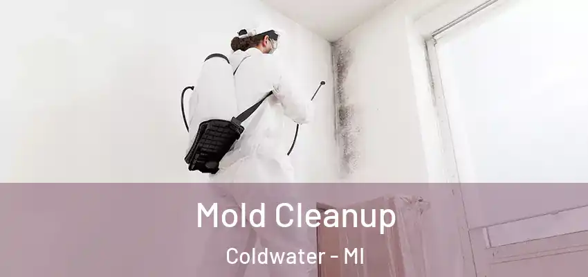  Mold Cleanup Coldwater - MI