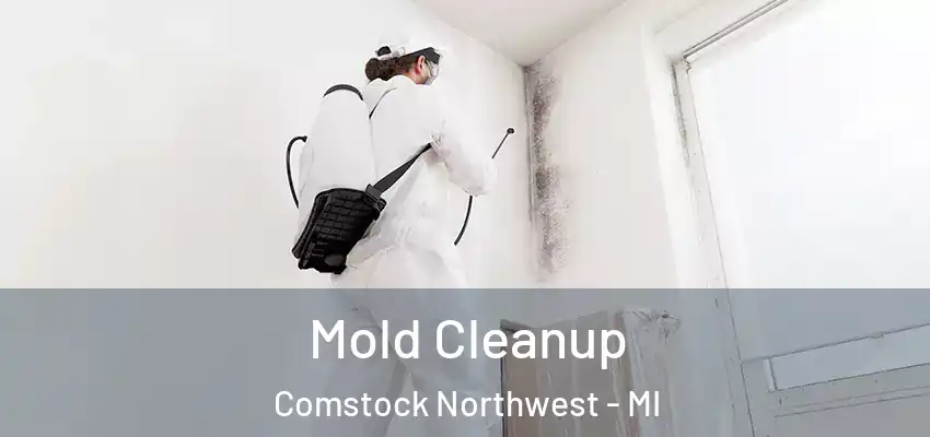  Mold Cleanup Comstock Northwest - MI