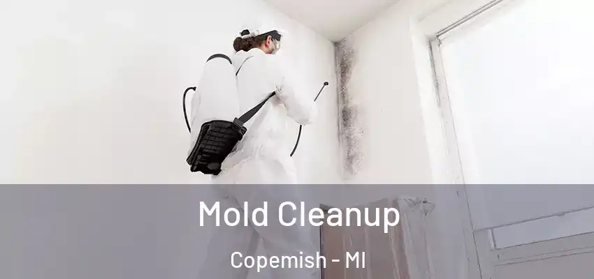  Mold Cleanup Copemish - MI