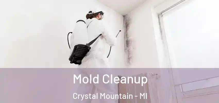 Mold Cleanup Crystal Mountain - MI