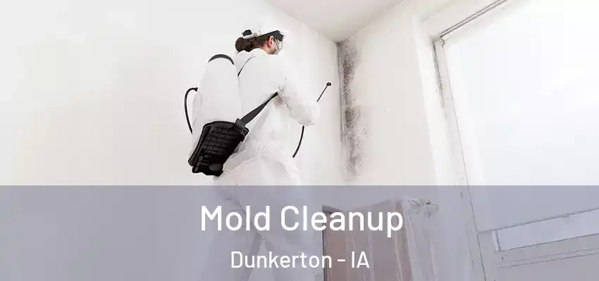  Mold Cleanup Dunkerton - IA