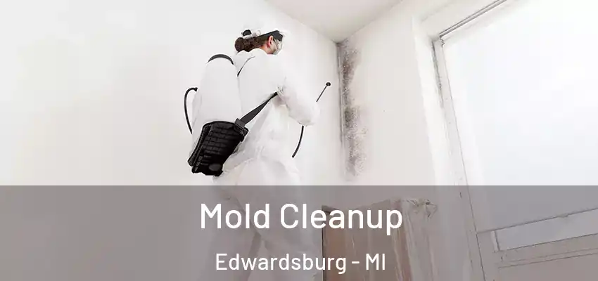  Mold Cleanup Edwardsburg - MI