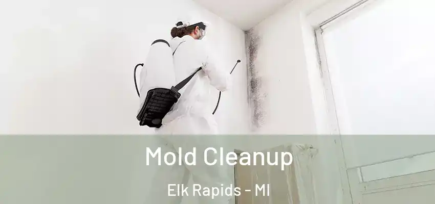 Mold Cleanup Elk Rapids - MI