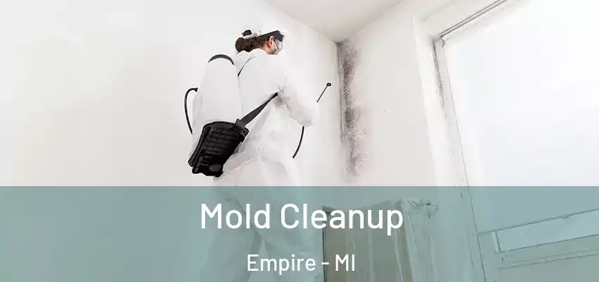  Mold Cleanup Empire - MI