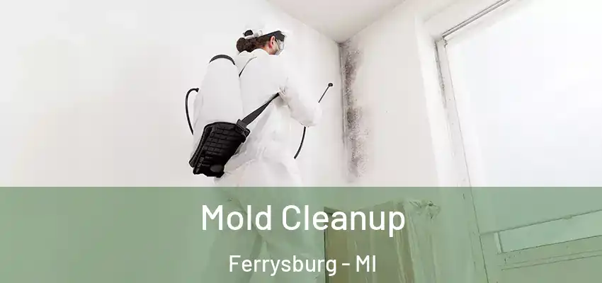 Mold Cleanup Ferrysburg - MI