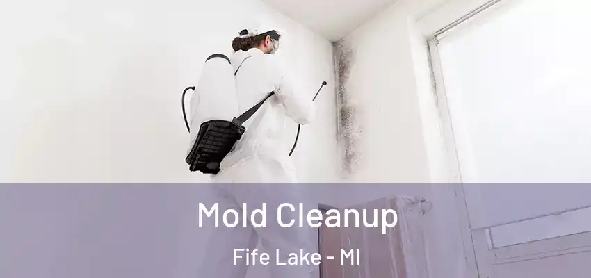 Mold Cleanup Fife Lake - MI