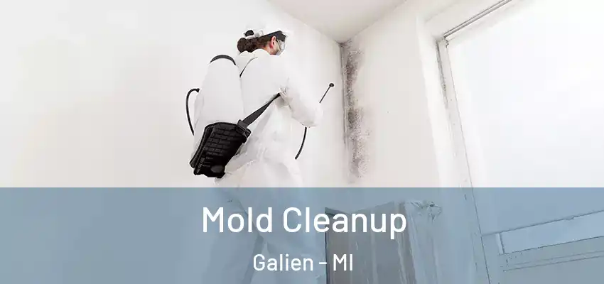  Mold Cleanup Galien - MI