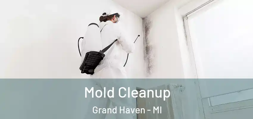  Mold Cleanup Grand Haven - MI