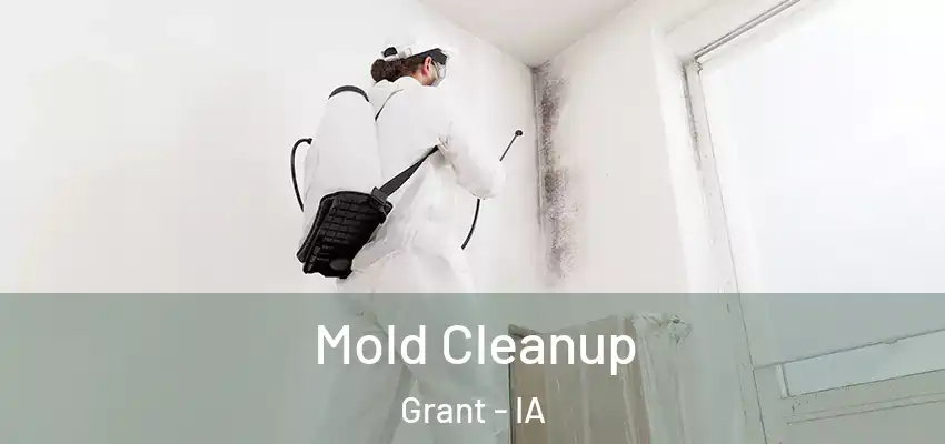  Mold Cleanup Grant - IA