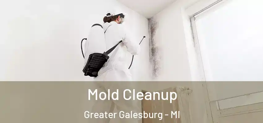 Mold Cleanup Greater Galesburg - MI