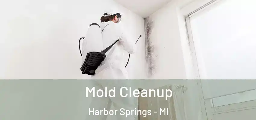  Mold Cleanup Harbor Springs - MI
