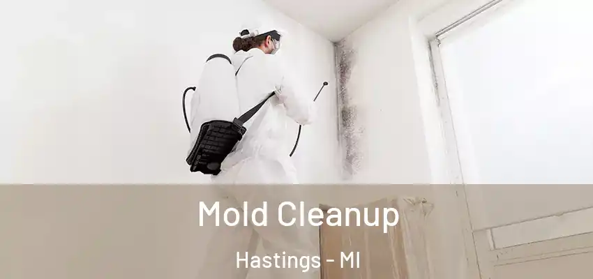  Mold Cleanup Hastings - MI