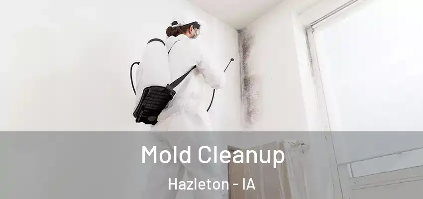  Mold Cleanup Hazleton - IA
