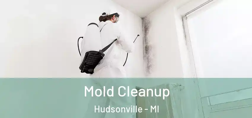 Mold Cleanup Hudsonville - MI