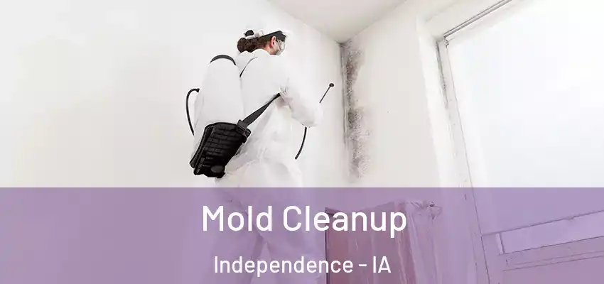  Mold Cleanup Independence - IA