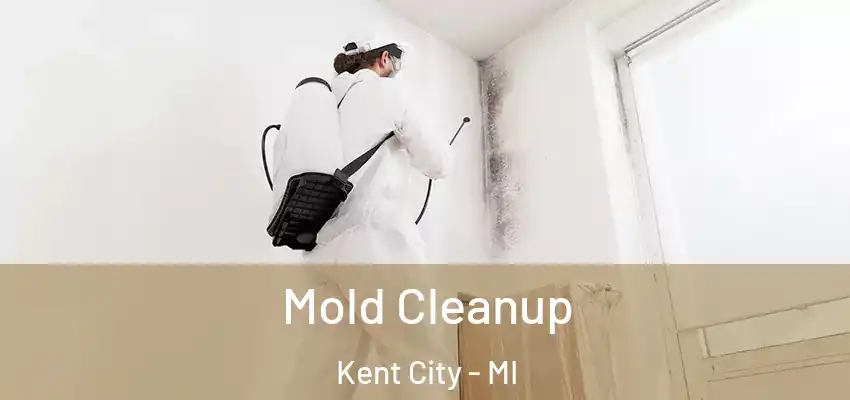 Mold Cleanup Kent City - MI
