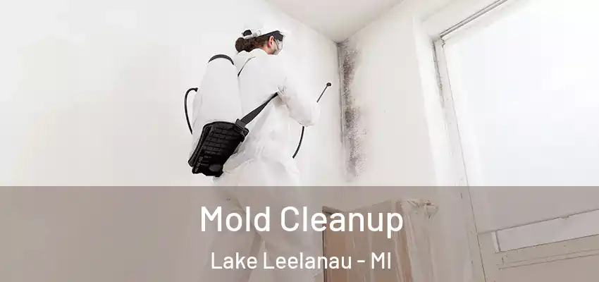  Mold Cleanup Lake Leelanau - MI