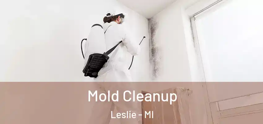  Mold Cleanup Leslie - MI