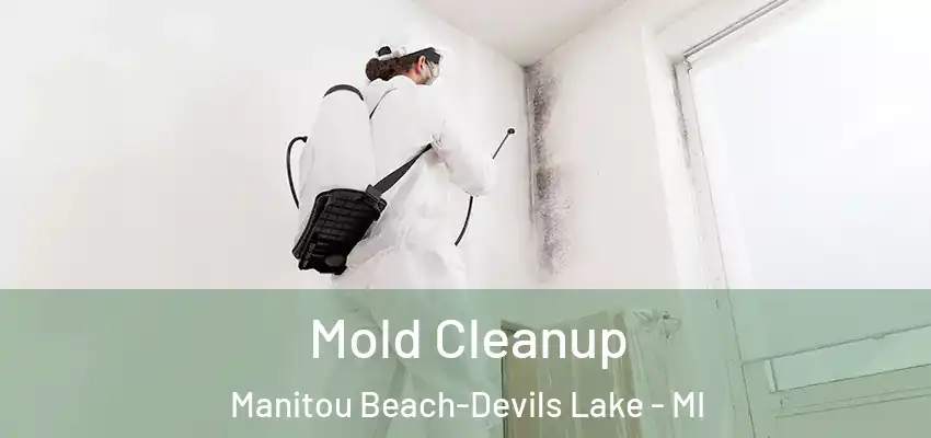 Mold Cleanup Manitou Beach-Devils Lake - MI