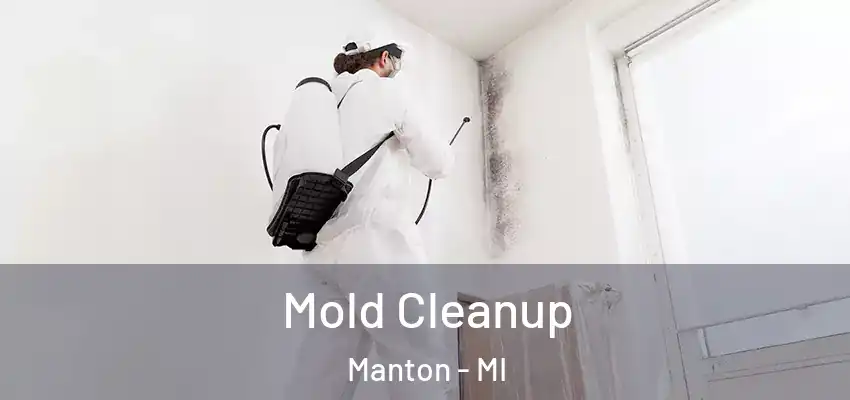  Mold Cleanup Manton - MI