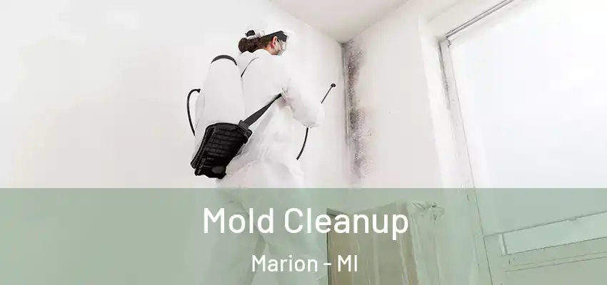  Mold Cleanup Marion - MI