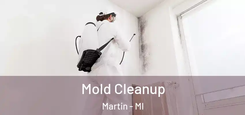 Mold Cleanup Martin - MI