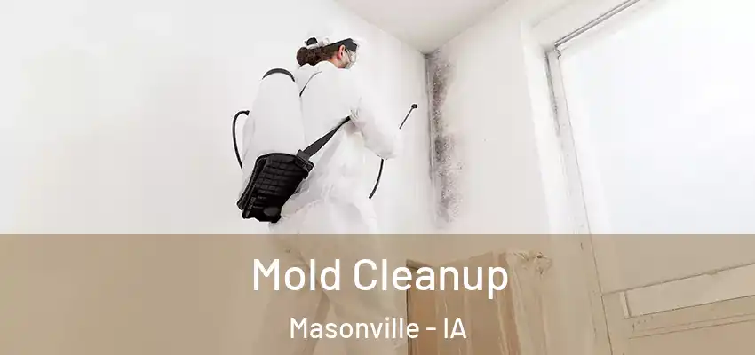  Mold Cleanup Masonville - IA