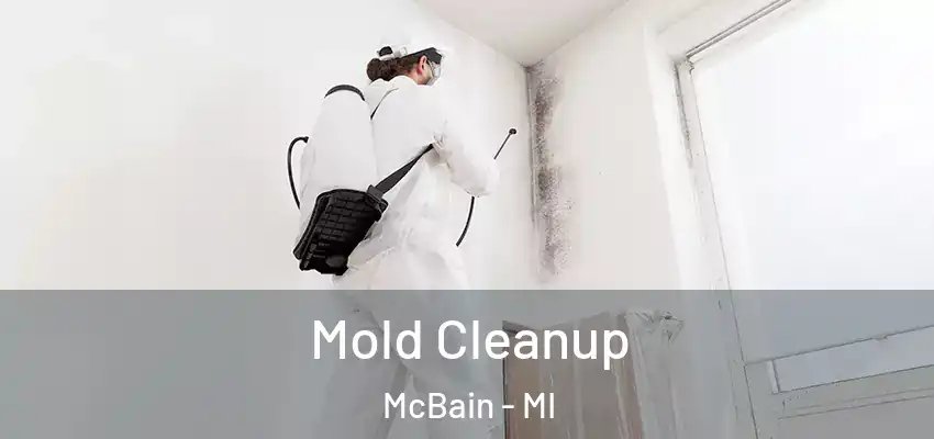  Mold Cleanup McBain - MI