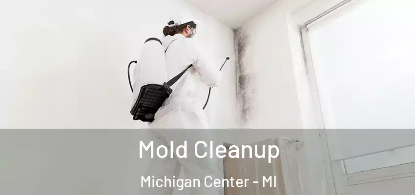  Mold Cleanup Michigan Center - MI