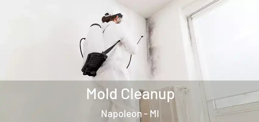 Mold Cleanup Napoleon - MI