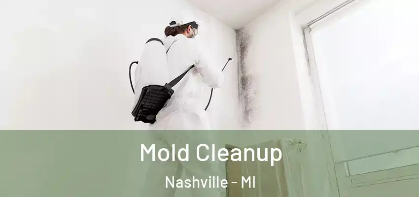 Mold Cleanup Nashville - MI